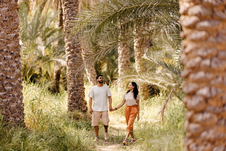 Explore Al Ain Oasis
