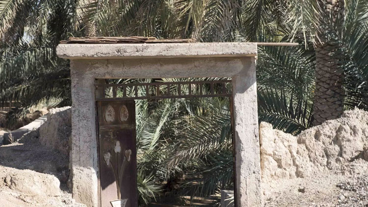 Visit Al Hili Oasis