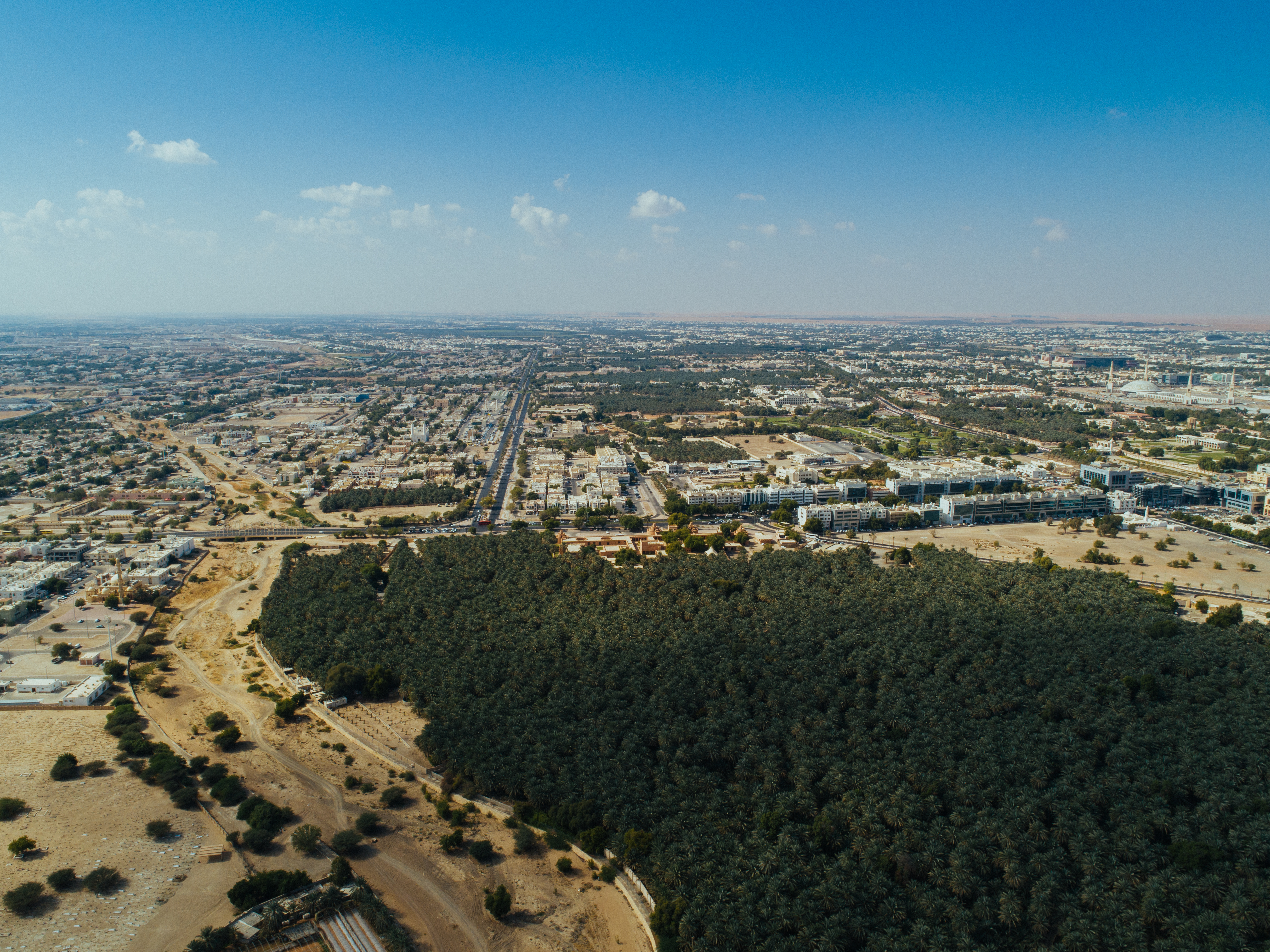 Essential information 