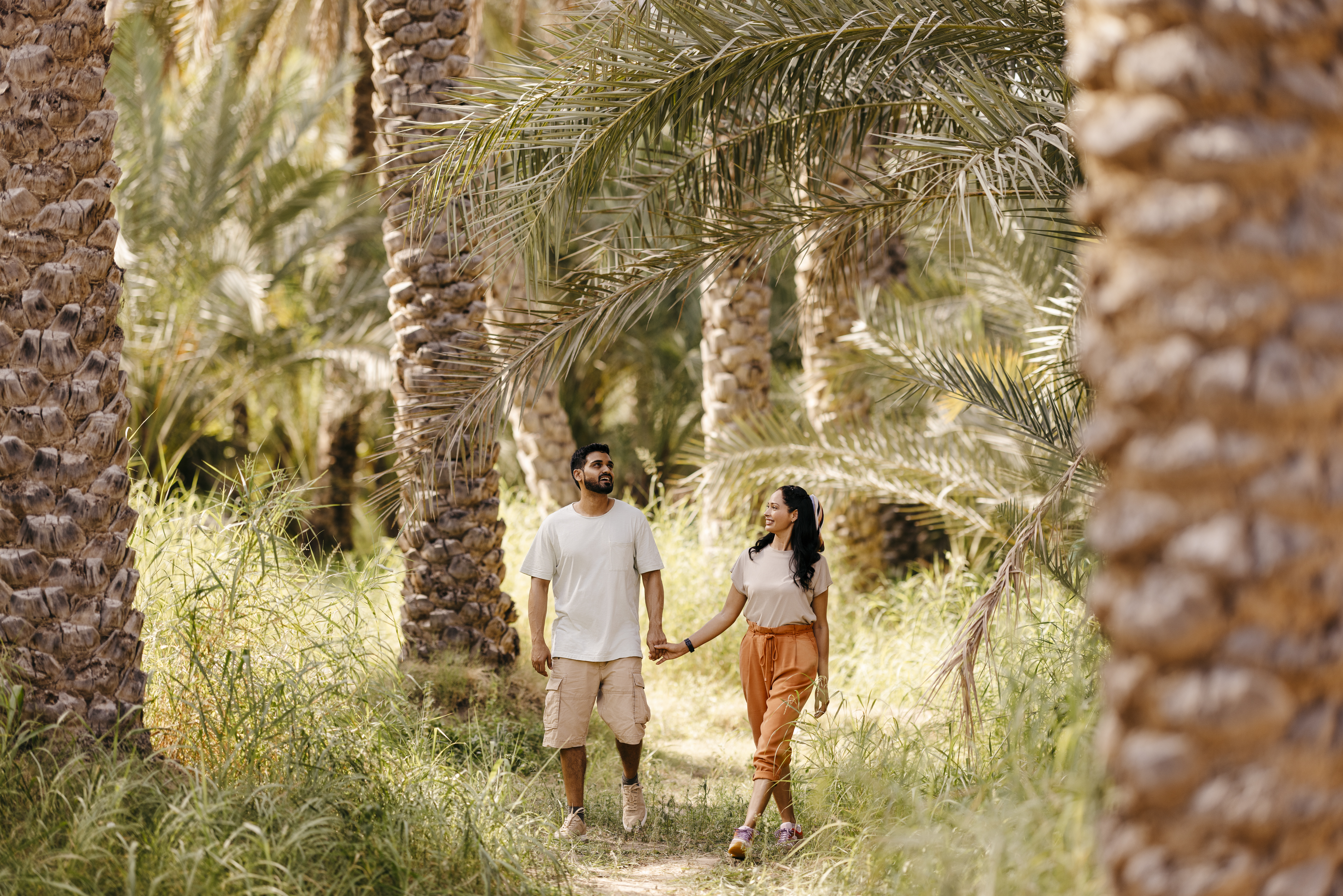 things to do at al ain oasis